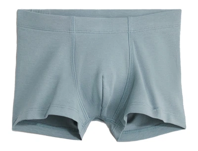 Трусики-боксеры для мальчика H&M 1010214-043 098-104 см (2-4 years) Синий