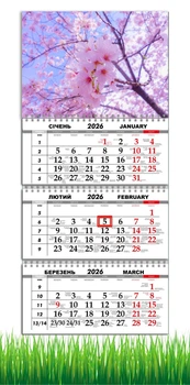 Календар настінний квартальний на 2026 рік на три пружини , Apriori , Квіти, Сакура, Природа , 29,7х61см