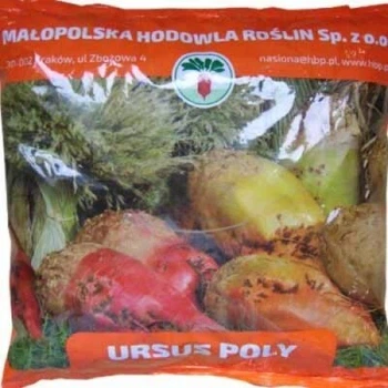 Кормовий буряк Урсус Полі 0,5 кг Malopolska Hodowla