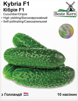Огірок Кібрія F1 (Bestе Kern) 10 шт.