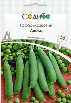 Семена Горох мозговой Авола 20 г Садыба