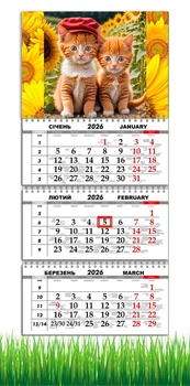 Календар настінний квартальний на 2026 рік на три пружини , Apriori , Котики , Рудий Кіт, Соняшники , 29,7х61см , 2 вид