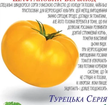Насіння томата Шафрановий верблюд Сонячний Март 100 шт
