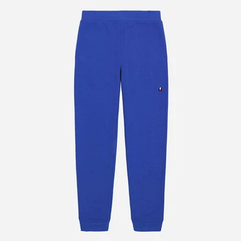 Детские теплые спортивные штаны-джоггеры для девочки Tommy Hilfiger 189504536 104 см Синие (1159841562)