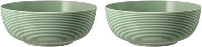 Набір мисок Seltmann Weiden Beat Color Glaze зелений 20 см 2 шт (ZES4052212109442)
