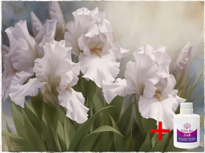 Алмазная мозаика на подрамнике ColorArt Цветы Белые ирисы 40х50 SPP104 + Подарок лак для покрытия