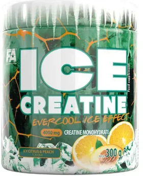 Креатин моногидрат Fitness Authority Ice Creatine 300 г ледяной цитрус персик