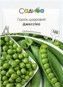Насіння Горох цукровий Джессіка 100 г Садиба