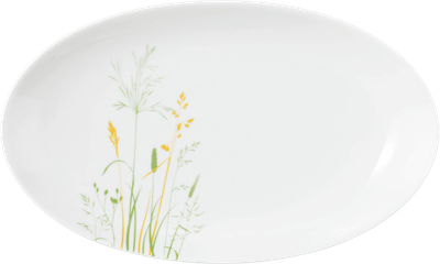 Półmisek Seltmann Weiden Meadow Grasses Green owalny 24 x 14.5 cm (4052212127514)