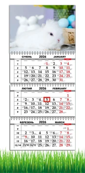 Календарь настенный квартальный на 2026 год на три пружины, Apriori , Романтический Кролик , 29,7х61см