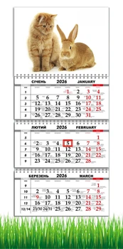 Календар настінний квартальний на 2026 рік на три пружини , Apriori , Тварини ,Рудий кіт, Заєць , 29,7х61см