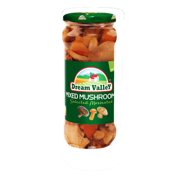 Грибне асорті Dream Valley Mixed Mushrooms Selected Marinated 580 мл