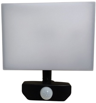 Reflektor Standart FLOODLIHGT LED 30 W (PE09-30WS)
