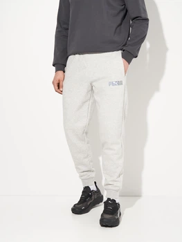 Спортивні штани чоловічі утеплені Puma Essentials Graphics 68818704 L Light Gray Heather (4069156536111)