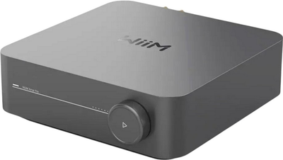 Streamer muzyczny WiiM Amp Pro with Amplifier Space Gray (WIIMAMPPRO)