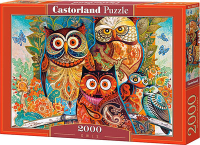 Puzzle Castorland Sowy 2000 elementów (5904438200535)