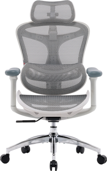 Fotel biurowy SIHOO DORO C300L Mesh White (DORO-C300L-A3-102)