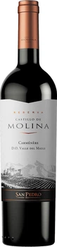 Вино Castillo de Molina Carmenere червоне сухе 0.75 л (7804300122959)