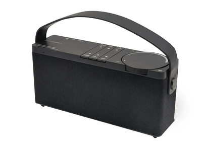 Портативна колонка Soundmaster Horst TVL24SW для телевізора Black (MU4066130820250)