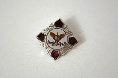 Нагрудний знак десантно-штурмові війська України