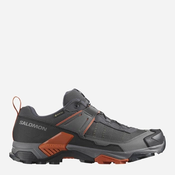 Мужские кроссовки с Gore-Tex Salomon X Ultra 5 Gtx L47797800 40 (7US/6.5UK) 25 см Asphal/Clrock/Burnt (195751947138)