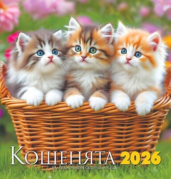 Календар 2026. Барви світу. Кошенята
