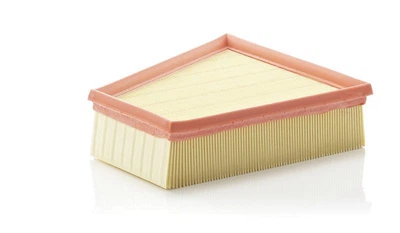 Фільтр повітряний Mann Filter C2295/2