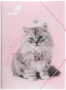 Папка на резинке Kite Rachael Hale A4 (R25-247)