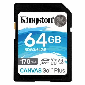 Карта памяти SD Kingston Class 10 V30 W-80MB/s R-170MB/s (SDG3/64GB)