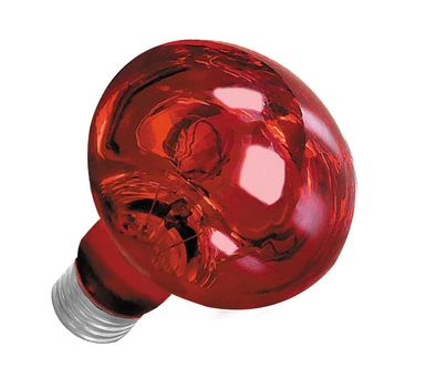 Лампа для обігріву нічна Terra Night Heat Red 100Вт.