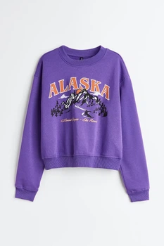 Жіночий світшот H&M 208594-4 L(175/104) Фіолетовий (2085940005)