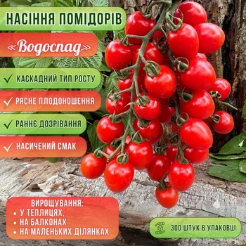 Семена помидоров WaterfallTomato «Водопад», 300 штук в 1 упаковке