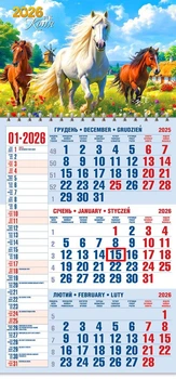 Календар 2026 офісний 1. Рік Коня