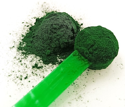 Suplement diety dla psów Game Dog BARFER Spirulina Źródło aminokwasów, witamin i mikroelementów 300 g (5904730806251)