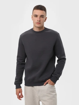 Світшот на флісі чоловічий Ray Basic U0301M 2XL Темний сірий (Ray2000000041056)