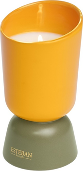 Свічка Esteban Iconic Color Ambre 220 г (3660963107245)