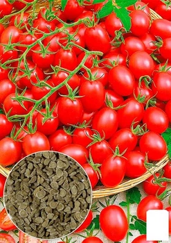 На развес Томат "Дачное лакомство" Agro-Market цена за 1г (178261)