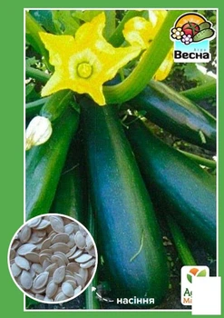 Кабачок-цуккини "Аэронавт" Agro-Market 2г (20658)