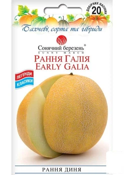 Дыня "Ранняя Галия" ТМ "Солнечный март" 20шт (184040)