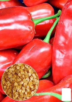 Перец "Сладкая паприка" (Зипер) Agro-Market 0,7г (51644)