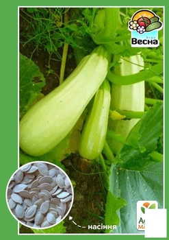 Кабачок "Одесский кустовой" Agro-Market 2г (18679)