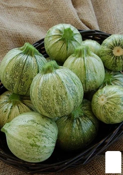 Кабачок "Світанок у Ніцці" (Зіпер) Agro-Market 5г (183092)