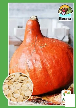 Тыква "Кэнди Свит" (Большой пакет) Agro-Market 5г (183465)
