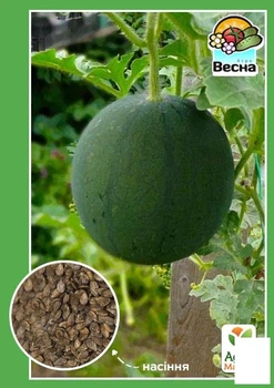 Арбуз "Огонек" Agro-Market 1.5г (10040)