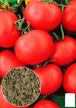На развес Томат "Тамина" Agro-Market цена за 1г (178428)