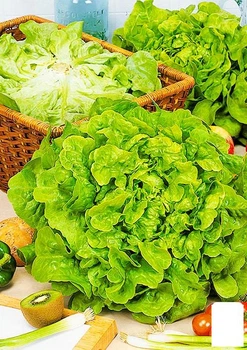 Салат "Крутянский" (Зипер) Agro-Market 3г (177304)