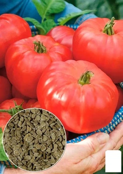 На развес Томат "Мастер" Agro-Market цена за 1г (178418)