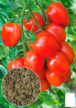 Томат "Амулет " Agro-Market 0.2г (17959)