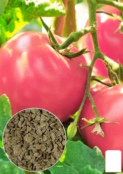 Томат "Волгоградский розовый" Agro-Market 0.2г (15541)