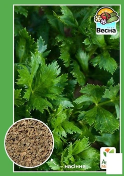 Селера "Листовий" (Великий пакет) Agro-Market 1г (32596)